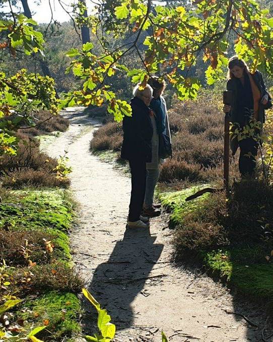 Schritt-für-Schritt-Bestattung